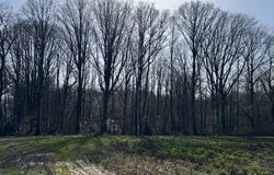 Ecueillé, Centre 36240