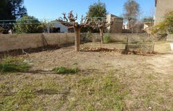 Plaissan, Languedoc-Roussillon 34230