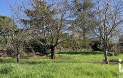 Gensac, Nouvelle-Aquitaine 33890