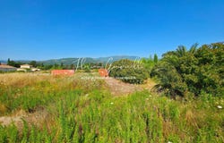 Lucciana, Haute-Corse 20290