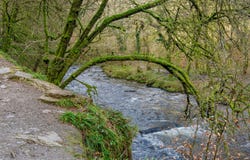 Somerset, England TA22 9QA