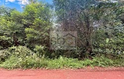Roura, French Guiana 97311