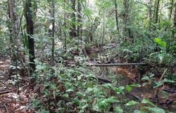 ROURA, Cayenne 97311
