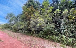 Roura, French Guiana 97311