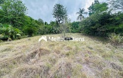 Bouillante, Guadeloupe 97125