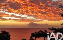 Pointe-Noire, Basse-Terre 97116