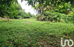 Le Moule, Grande-Terre 97160