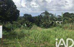 Sainte Rose, Basse-Terre 97115
