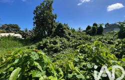 Capesterre-Belle-Eau, Basse-Terre 97130