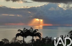 Pointe-Noire, Basse-Terre 97116