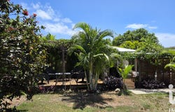 Sainte-Anne, Grande-Terre 97180