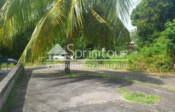 Pointe-Noire, Guadeloupe 97116