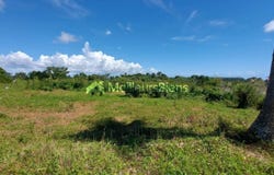 Petit-Bourg, Guadeloupe 97170
