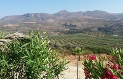 Analoukas, Sitia, Kríti 723 00
