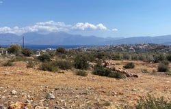 Crete 72100