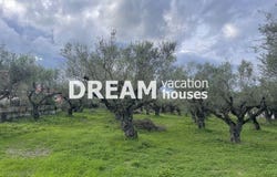 Agios Kirikos, Ionian Islands 29100