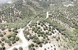 Sellia, Crete 74060