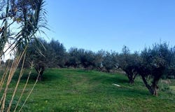 Lixoyri, Ionian Islands 28200