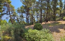 Kassandra, Chalkidiki 63077