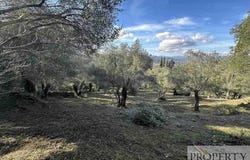Corfu, Iónioi Nísoi 49084