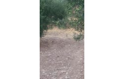 Roussa Ekklisia, Kríti 723 00