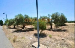 Unnamed Road, Rhodes, Aegean