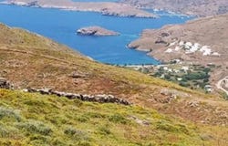 Kithnos, South Aegean 84006