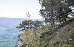 Sithonia, Chalkidiki 63078