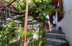 Glossa, Thessaly 37004