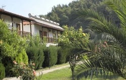 Sithonia, Chalkidiki 63081