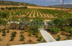 Voutakos Parou, South Aegean 84400
