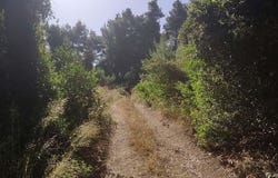 Kriopigi, Central Macedonia 63077
