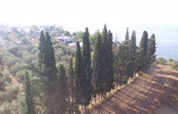 Magoula, Central Greece 34008