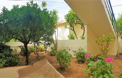 Mallia, Heraklion Prefecture 70014