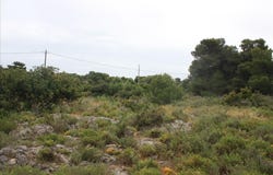 Kampani, Crete 73133
