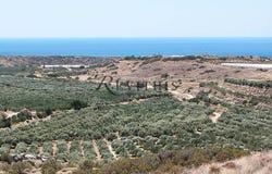 Pilalimata, Crete 72055