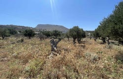 Crete, Crete Island