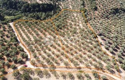 Nea Koroni, Peloponnese 24004