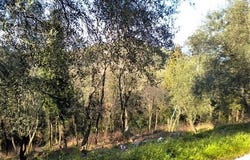 Corfu, Corfu Prefecture 49100