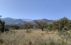 Kalyves, Crete 73003