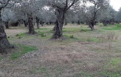 Thásos, Macedonia