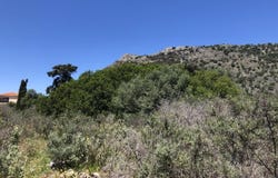 Kambia, Crete 73008