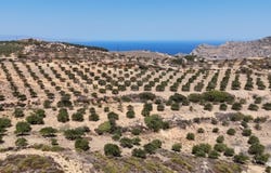 Skopi, Crete