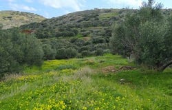Agios Nikolaos, Lasithi 72053