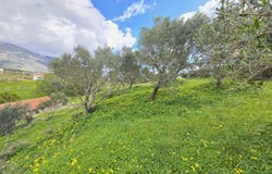 Plakias, Crete 74060