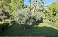 Kassandra, Chalkidiki