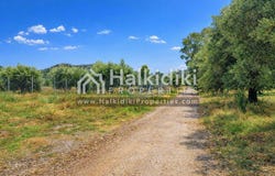 Chaniotis, Central Macedonia 63085