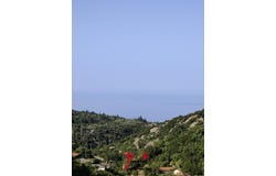 Kastania, Peloponnese 24024