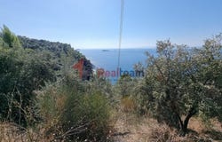 Klima, Thessaly 37004