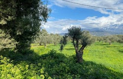 Tibaki, Crete 70200